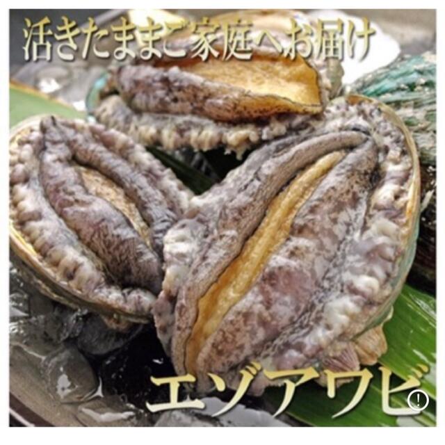 ちいーさん様専用。12/23発送分、アワビ、ハマグリセット