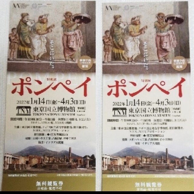 ◆特別展　ポンペイ　2枚　無料観覧券 チケットの施設利用券(美術館/博物館)の商品写真