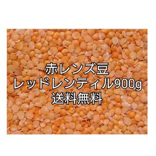 レッドレンティル900g/Red Lentil・赤レンズ豆・乾燥豆(米/穀物)