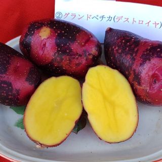 新ジャガ芋セット(ブルースター様専用)(野菜)