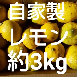 訳あり レモン 約3kg 農薬不使用 自家製(フルーツ)