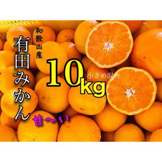 中生晩生和歌山有田みかん小さめ混合10キロ(フルーツ)