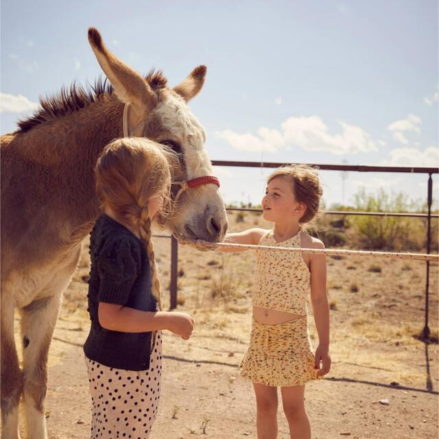 Caramel baby&child (キャラメルベビー&チャイルド)のMisha&Puff  Skating Pond Skirt  4-5Y  キッズ/ベビー/マタニティのキッズ服女の子用(90cm~)(スカート)の商品写真