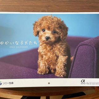 2022カレンダー　壁掛け　犬　わんちゃん(カレンダー)