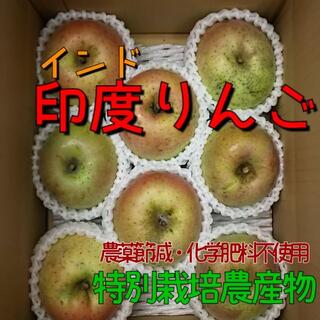 印度りんご３kg送料無料【特別栽培・JGAP認証】福島市 2500円(フルーツ)