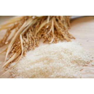 【０１】米８kg(米/穀物)
