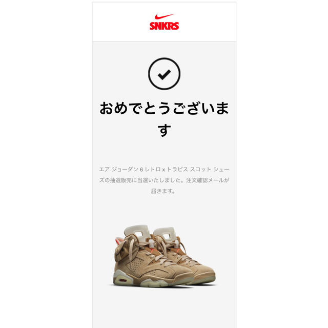 NIKE(ナイキ)のTRAVIS SCOTT × NIKE AIR JORDAN 6  メンズの靴/シューズ(スニーカー)の商品写真