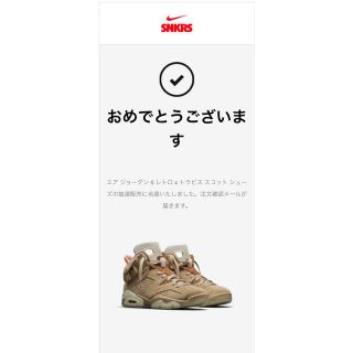 ナイキ(NIKE)のTRAVIS SCOTT × NIKE AIR JORDAN 6 (スニーカー)