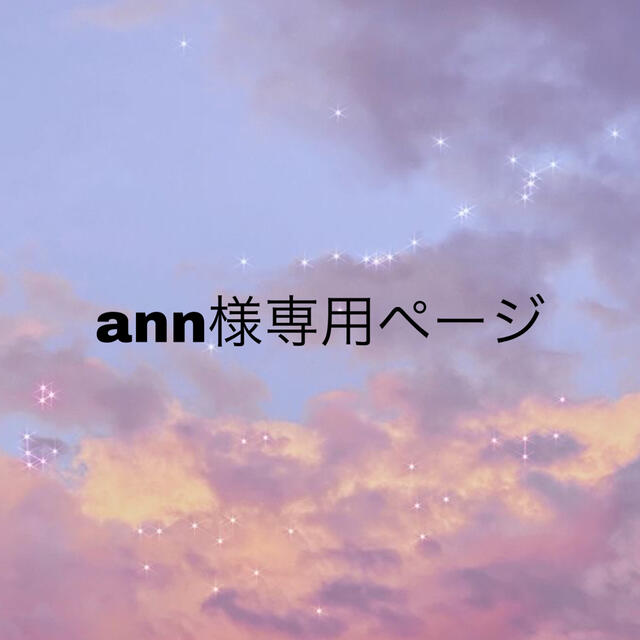 ann様専用ページの通販 by ちょろ's shop|ラクマ