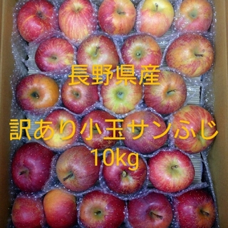 25長野県産りんご 訳あり 小玉サンふじ10kg(フルーツ)