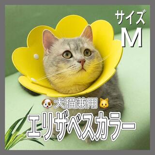 【犬猫兼用】エリザベスカラー　黄色　イエロー　Mサイズ(猫)