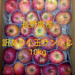 26長野県産りんご 訳あり 小玉サンふじ10kg(フルーツ)