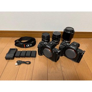 ソニー(SONY)のSONY α7SⅡ α7Ⅱ オールドレンズ3本(ミラーレス一眼)