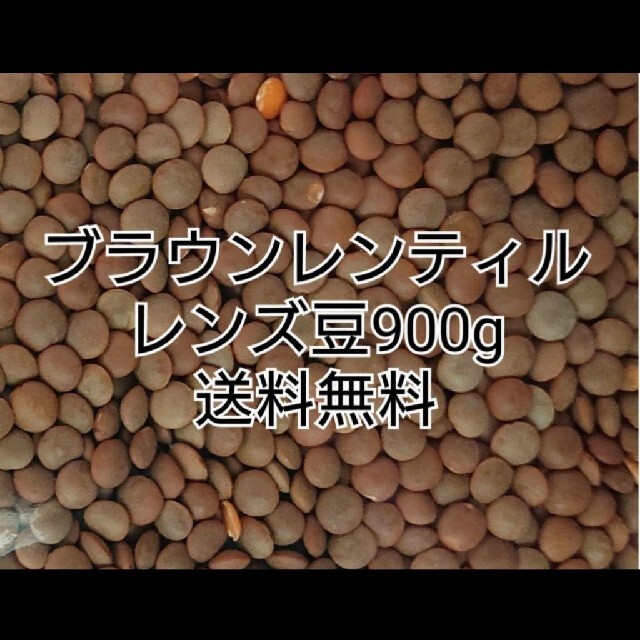 レンズ豆900g/Brown Lentil 乾燥豆 食品/飲料/酒の食品(米/穀物)の商品写真