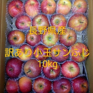 27長野県産りんご 訳あり 小玉サンふじ10kg(フルーツ)