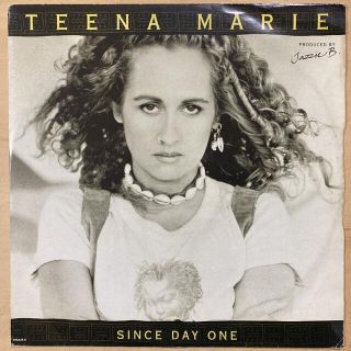 レコード26枚同梱 TEENA MARIE(R&B/ソウル)