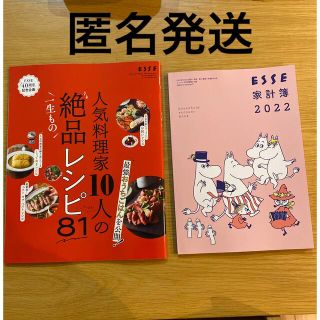 ⭐︎お値下げ⭐︎ ESSE 1月号付録 ムーミン家計簿・絶品レシピ本(その他)