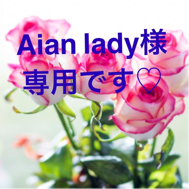 Aian lady様