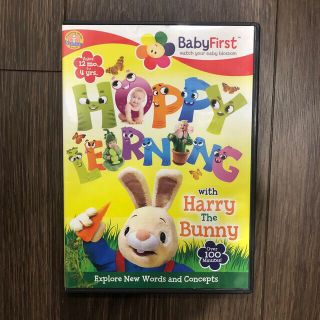 baby first with Harry the bunny DVD(キッズ/ファミリー)