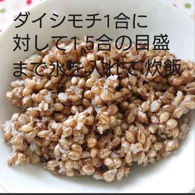 令和3年産 ダイシモチ 玄麦 食品/飲料/酒の食品(米/穀物)の商品写真