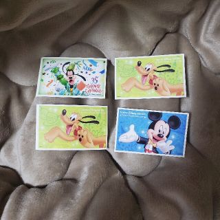 ディズニー(Disney)の【Disney】使用済み パークチケット パスポート(遊園地/テーマパーク)