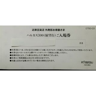 🌟あべのハルカス300展望台　入場券 ペア　'22年10月末まで🌟(その他)