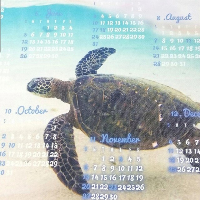 年間一枚カレンダー22 ホヌ亀カメ ハワイアン雑貨おしゃれ壁掛けかわいいの通販 By れんと Shop ラクマ