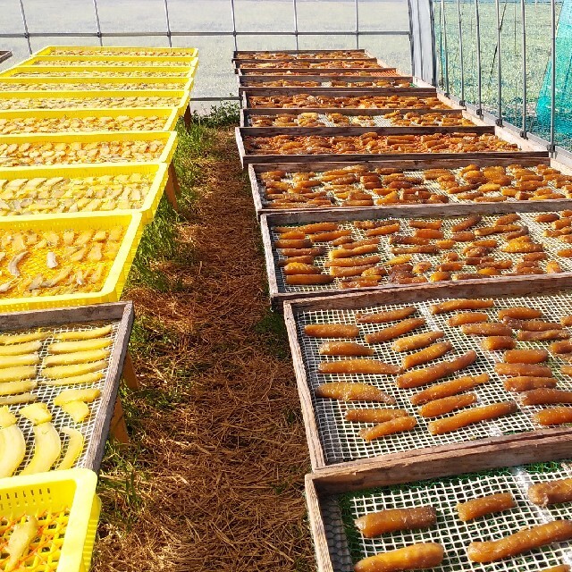 特別栽培高級米 新之助 20㌔玄米 只今胡瓜サービス中 田植え後 特別栽培高級米 新之助 20㌔玄米 只今胡瓜サービス中 田植え後