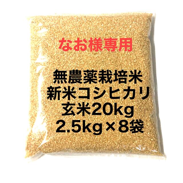 コシヒカリ 無農薬 精米 20kg(5kg×4) 令和元年新米 徳島県産