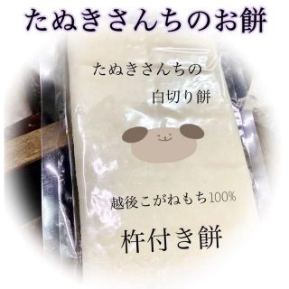 たぬきさんちの杵つき餅500ｇ(その他)