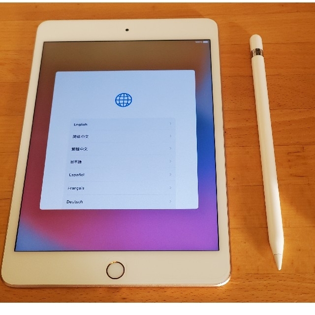 iPad mini5 Wi-Fiモデル 64GB ゴールド 純正Pencil付き 1