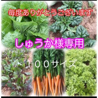 しゅうか様専用(野菜)