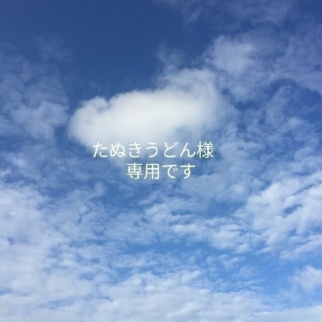 たぬきうどん様 専用です! elc.or.jp