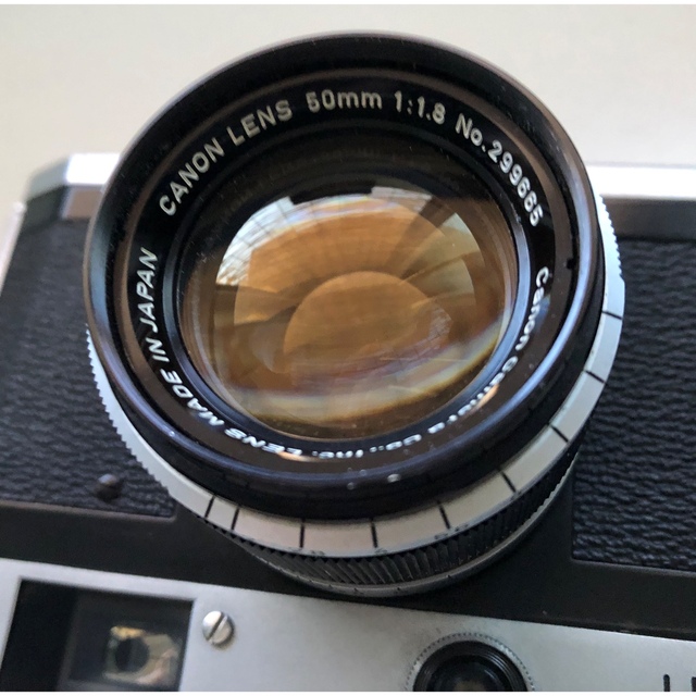 クリスマスローズ 【Canon P】フィルムカメラ◇キヤノン◇50mm単焦点