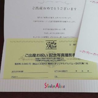 mayu様専用スタジオアリス  ご出産お祝い記念写真撮影券(その他)