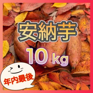 さつまいも『安納芋10kg』(野菜)