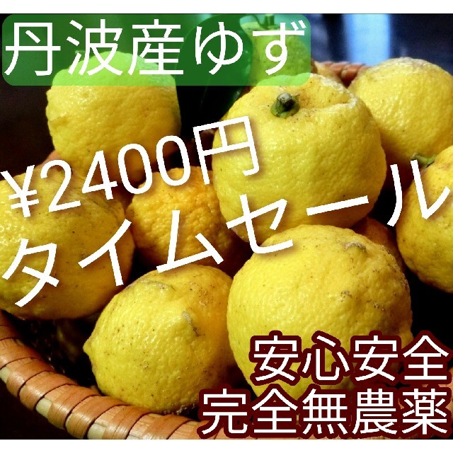 【農園直送】　丹波産　冬至　 完全無農薬　ノーワックス　国産ゆず　無農薬ゆず 食品/飲料/酒の食品(フルーツ)の商品写真