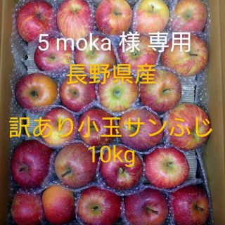 5 moka様専用 長野県産りんご 訳あり 小玉サンふじ10kg(フルーツ)