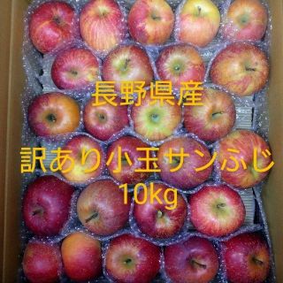 30長野県産りんご 訳あり 小玉サンふじ10kg(フルーツ)