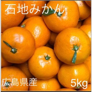 広島県産　石地みかん　いしじみかん　5kg   産地直送(フルーツ)