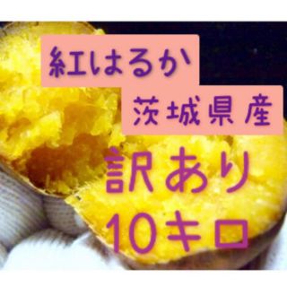 さつまいも　10kg    紅はるか　サイズ訳あり(米/穀物)