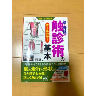 筋と骨格の触診術の基本 オ－ルカラ－(健康/医学)