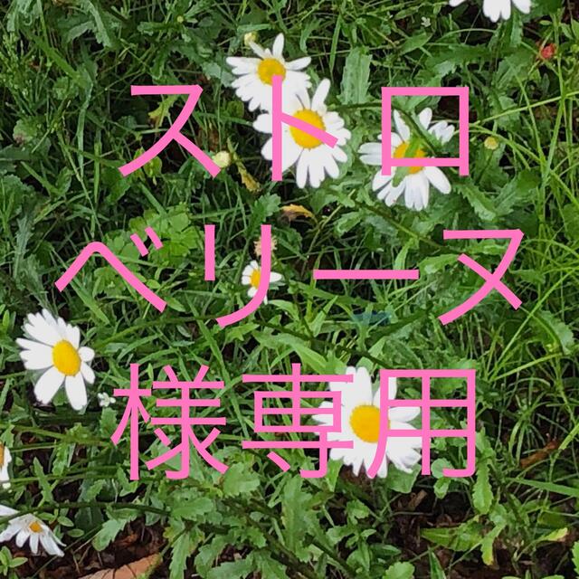 ストロベリーヌ様専用】おまとめページ-