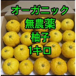 オーガニック　無農薬柚子1〜1.1キロ(フルーツ)