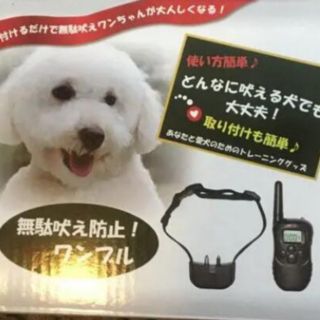 犬の無駄吠え防止　トレーニング首輪　しつけ用首輪　ワンブル　しつけくん同等品