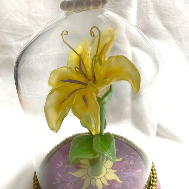 流行に ラプンツェル 魔法の花 Led ライト おもちゃ ぬいぐるみ Www Thjodfelagid Is 流行に ラプンツェル 魔法の花 Led ライト おもちゃ ぬいぐるみ Www Thjodfelagid Is