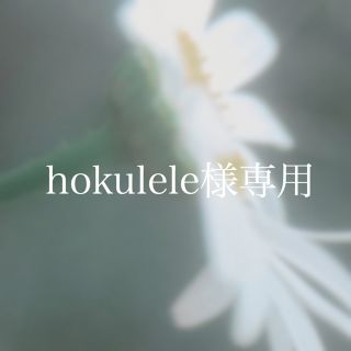 ジュエリーツツミ(JEWELRY TSUTSUMI)のhokulele様専用(ネックレス)