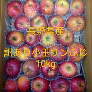31長野県産りんご 訳あり 小玉サンふじ10kg(フルーツ)
