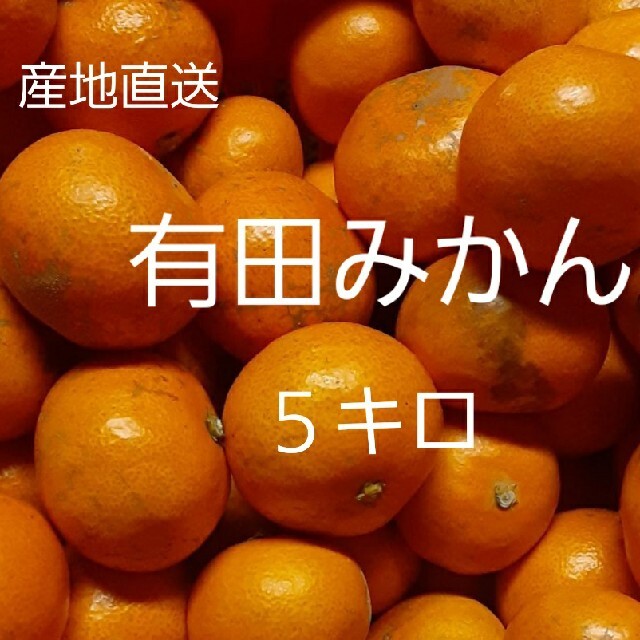 和歌山県有田産　有田みかん　小粒5kg 食品/飲料/酒の食品(フルーツ)の商品写真