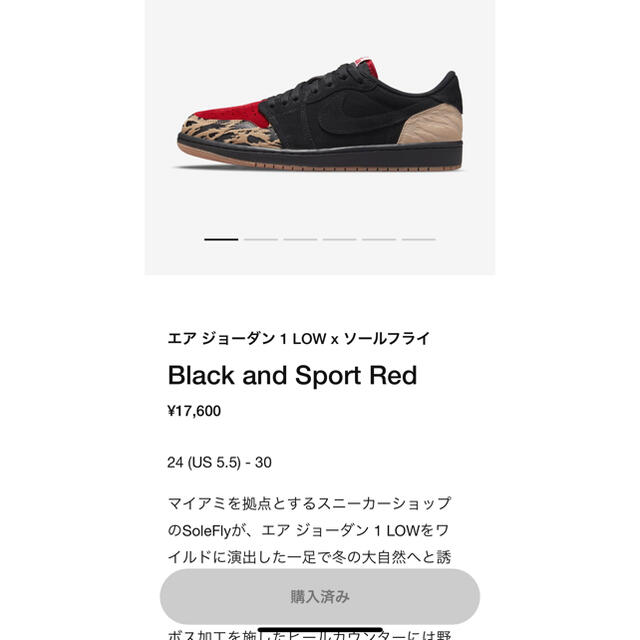 エアジョーダン1 ソールフライ  Air Jordan 1 Sole Fly